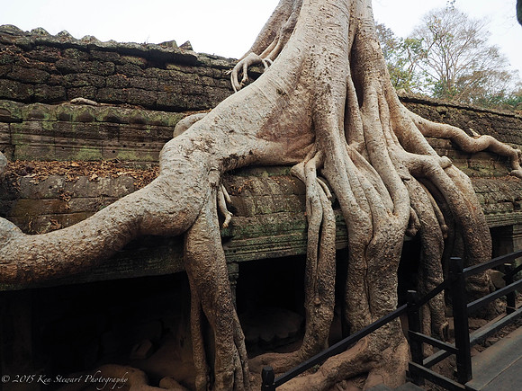 Angkor Wat