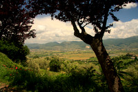 Montefalco overlook
